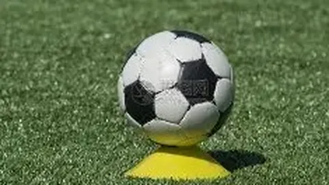 塞尔维亚篮球人才培养秘诀：中国篮球的典范之作