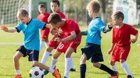 开云体育官网app 产品 100443 c6i