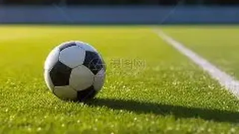 开云体育官网app 产品 090254 rok