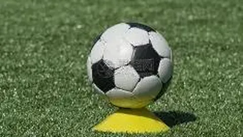 利雅得胜利今夏引目焦点，卡瓦略携手C罗回归，年薪800万成定局！